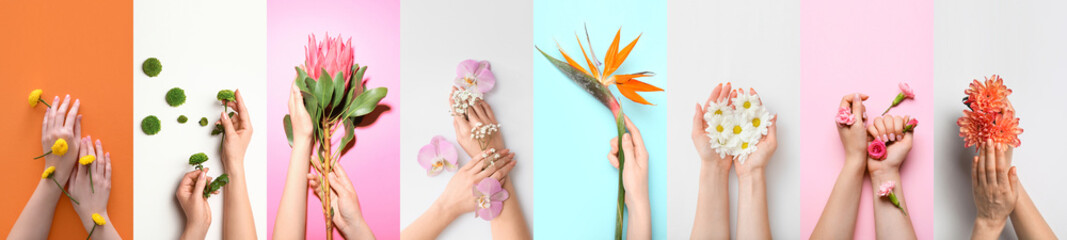 Collage with female hands and flowers on color background