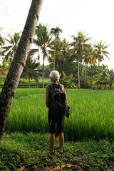 A woman walking in the middle of rice field.