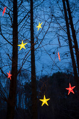 Illuminated yellow and red stars hanging on trees at dusk in a park - 564849614
