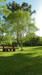 Fototapeta premium Camping