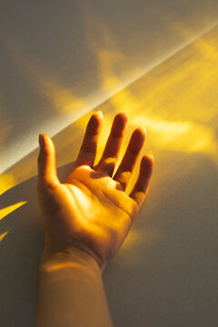 Golden touch