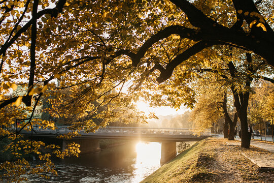 Autumn colors and leaves on sunny day