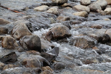 stream in the mountains