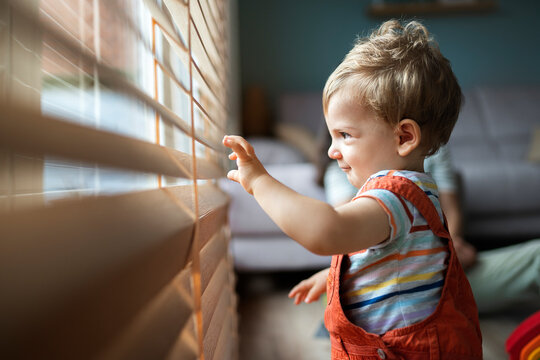 Curious Toddler at Home Portrait
