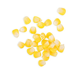 Corn seeds isolated on white background. Top view
