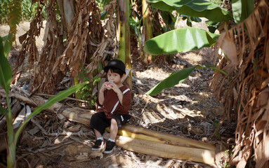 Cute little Asian boy playing in the banana field in autumn
