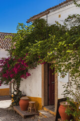 Green and pink flowering vines coving the entrance to a small shop door in Obidos Portual
