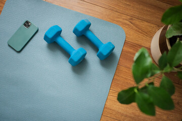 In Home Workout Space with Dumbbells Near Plant on Yoga Mat Near Phone