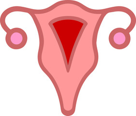 Uterus 
