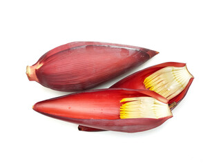 Fresh organic banana flowers, peeled or peeled off.  Banana blossoms are clusters of large, tightly intertwined bracts in the form of tall lotus buds against a white background.