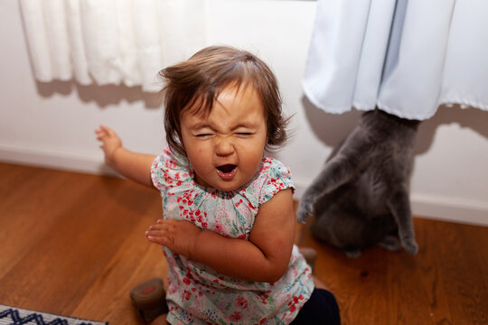 Funny toddler screaming at home