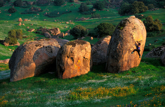 Woman bouldering among round boulders in a green field.
