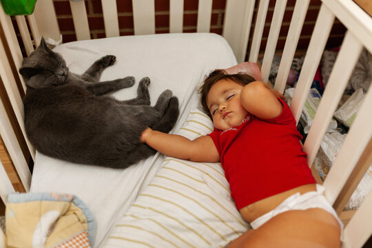 Toddler napping with cat