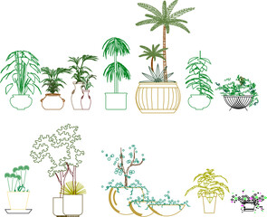 vector sketch of colored potted plant illustration