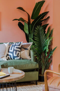 Colorful interior