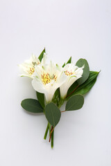 Beautiful alstroemeria flowers and eucalyptus branch on white background