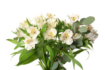 Bouquet of delicate alstroemeria flowers isolated on white background, closeup