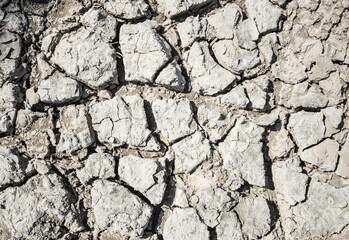 Surface and texture of barren ground, cracked earth