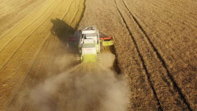 Crops are cut and collected from the fields as seen from above. Aerial view of a combiner within a field. High quality 4k footage