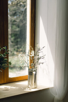 blossoms in jar window sill 