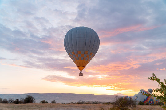 Fototapeta Hot air balloon in soft light of dawn