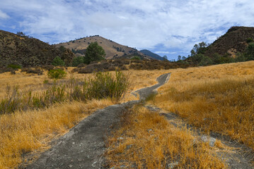 Grass Mountain, Los Padres National Forest, Santa Ynez Valley 