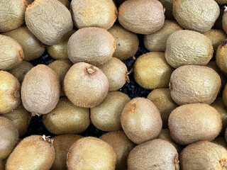Fresh kiwi fruits at a market stand