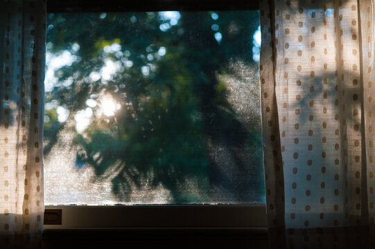 Fototapeta Simple Summer View