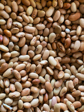 closeup of beans