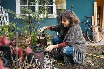 Middle-aged woman watering the plants in the patio of her house
