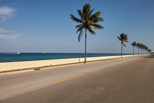 tree lined street and sidewalk
