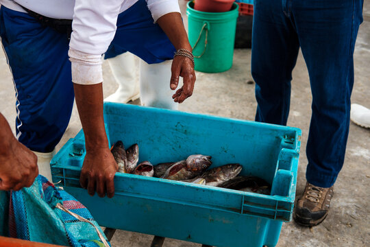 fisherman with Fresh Caught Fish 