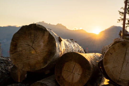 Lumber at sunset