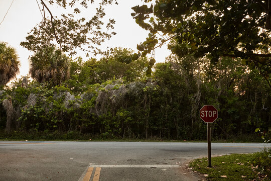 Stop sign at crossing