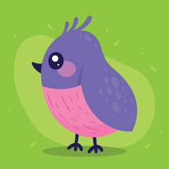 purple and pink bird