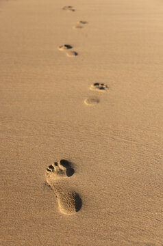 Footprints in the Sand