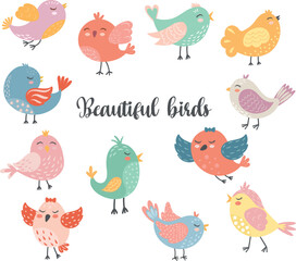 Cute decorative birds. Vector cartoon birds. Vector graphics. Isolated on white background.