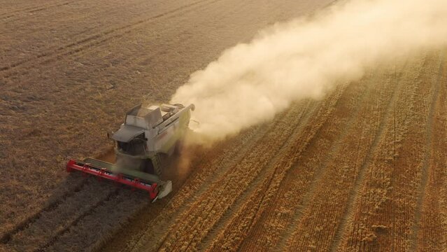 Drone footage of huge wheat fields with combiners driving along. Picking and collecting crops as seen from above. High quality 4k footage