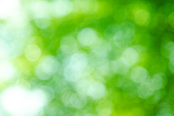 Green color bokeh, Green bacground, Blurred nature bokeh ure for the background
