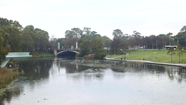 River Torrens Adelaide City Morning Walk and Paddle