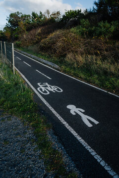 Bicycle lane with pictograms