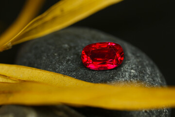 a red ruby gems on a leaf