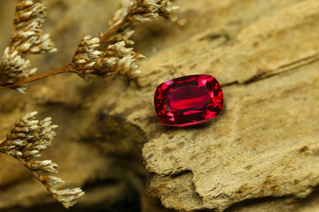 a red ruby gems on a leaf
