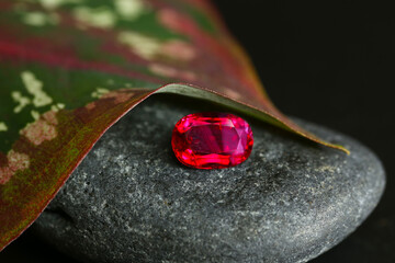 a red ruby gems on a leaf