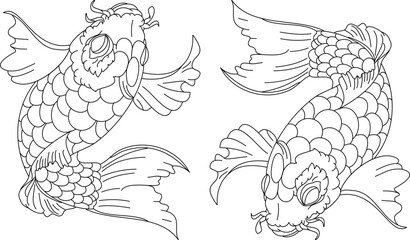 koi carp vector isolate for tattoo.Japanese carp drawing.Hand drawn line art of fish (Koi carp). Vector isolated. Idea for tattoo and coloring books.
