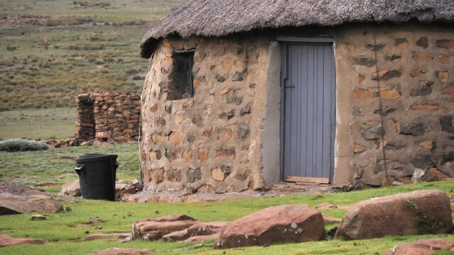 Rodents and birds seek food in grass of rustic stone farmhouse, Africa
