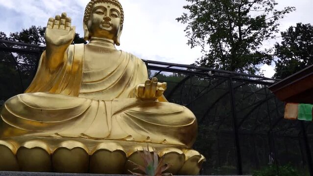 Inside a Buddhist temple's hidden garden with a Buddha statue