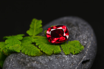 a red ruby gems on a leaf