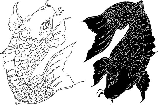 koi carp vector isolate for tattoo.Japanese carp drawing.Hand drawn line art of fish (Koi carp). Vector isolated. Idea for tattoo and coloring books.