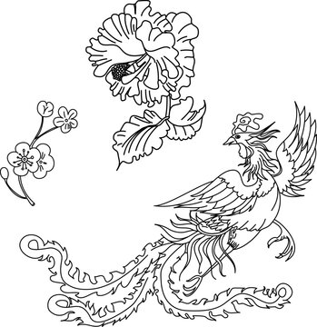 Chinese peacock with Peony flower and Cherry blossom vector.Outline Phoenix fire bird with peony and Sakura flower tattoo.
